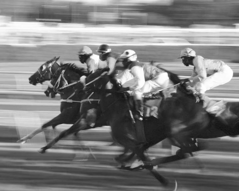 Sports & Entertainment Sports, music, film, art, leisure activities, dining, events